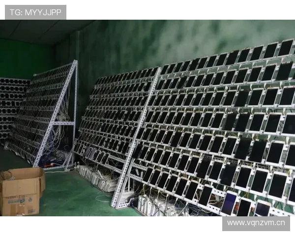 维尔茨数据含金量分析：是否存在刷数据嫌疑