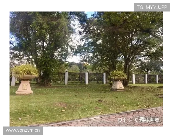 萨卡稳定性是否被高估？