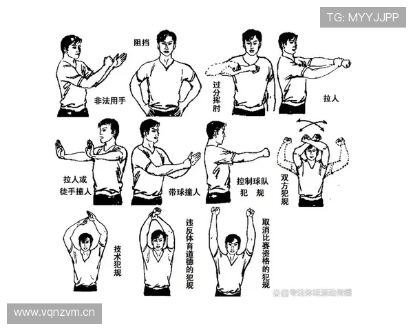 八秒违例怎么吹？一次看懂篮球回场规则与常见争议