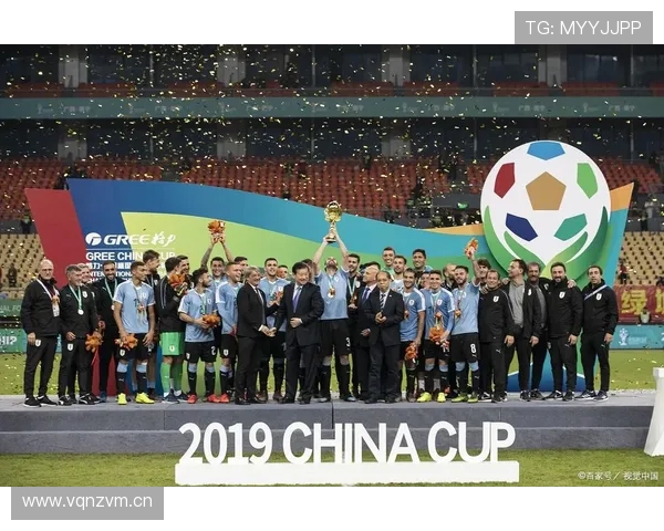 2026世界杯C组积分榜回顾：苏格兰和海地出局